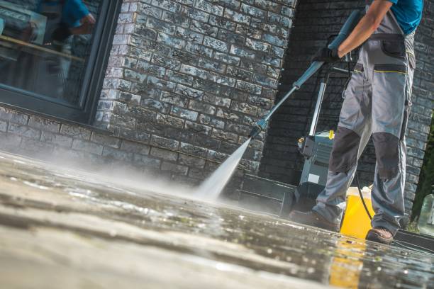 Animal Enclosure Cleaning in Kenmore, WA